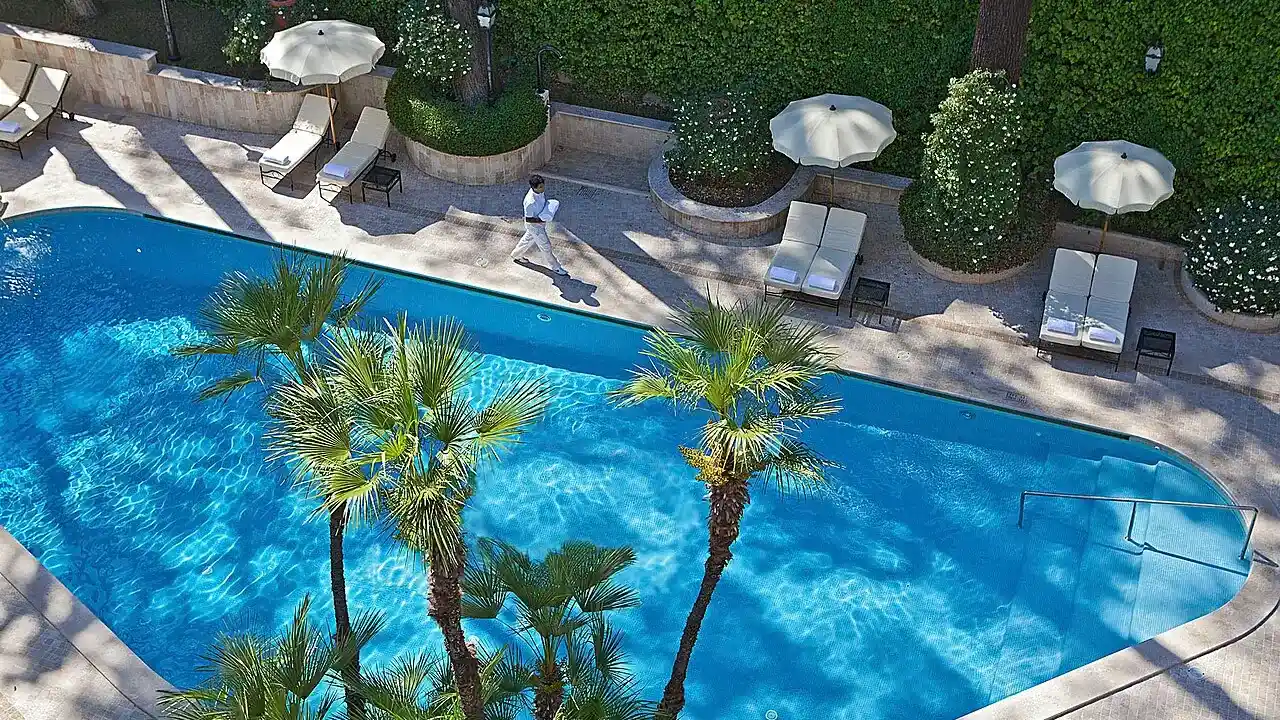Rectangular pool framed by palms and lawn